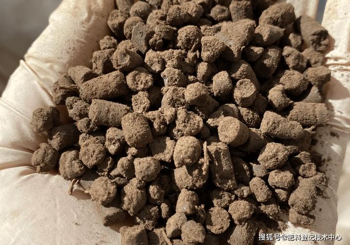 办一个小型的有机肥加工厂需要哪些手续